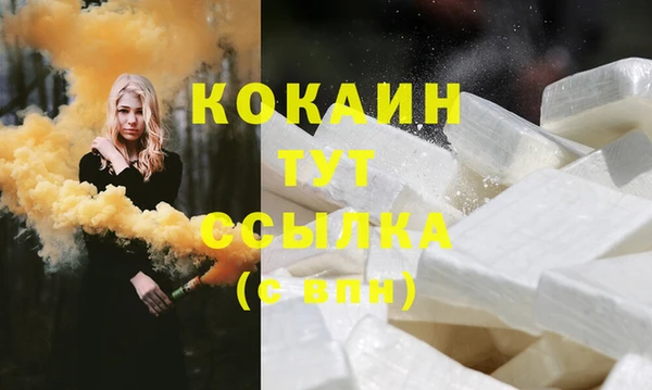 шишки Михайловск