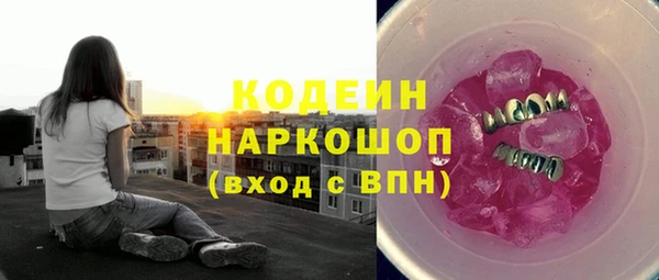 шишки Михайловск