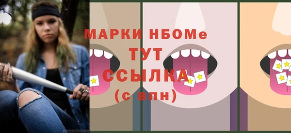 шишки Михайловск