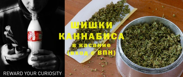 прущий лед Гусев