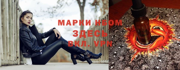 соль ск Надым