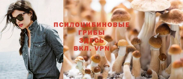 apvp Медногорск