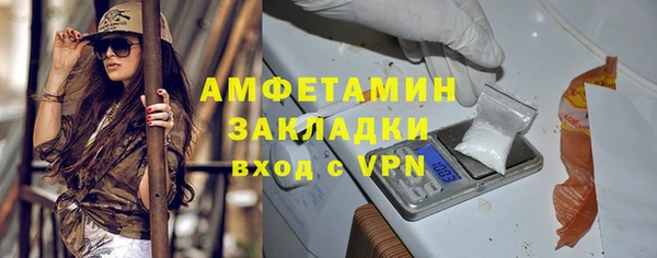 шишки Михайловск