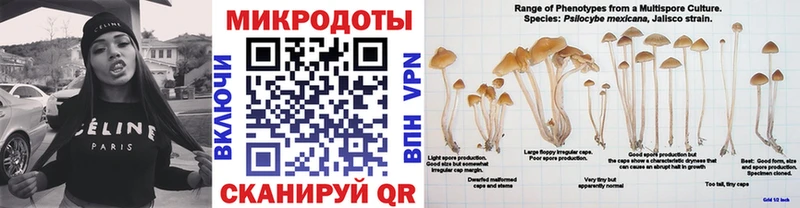 ссылка на мегу ссылка  Лихославль  Псилоцибиновые грибы Cubensis 